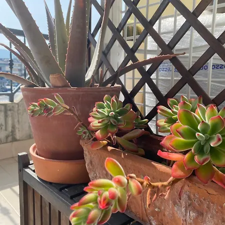 Studio_suite05 Alba Adriatica